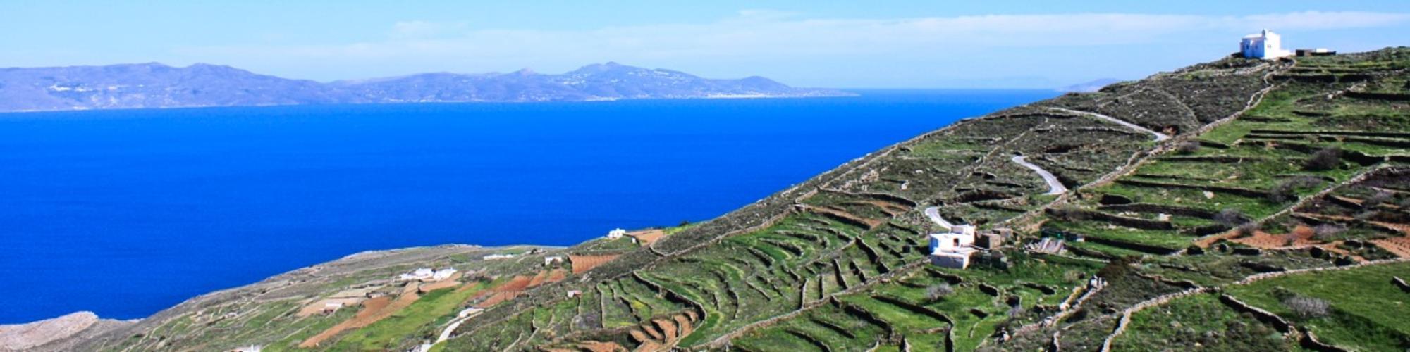 Syros